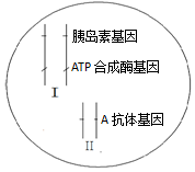 作业帮