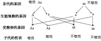 作业帮