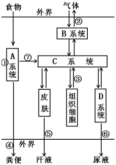 作业帮