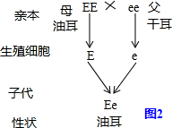 作业帮