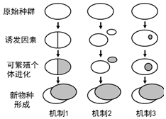 作业帮