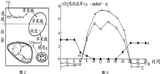 作业帮