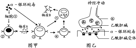 作业帮