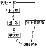 作业帮