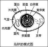 作业帮