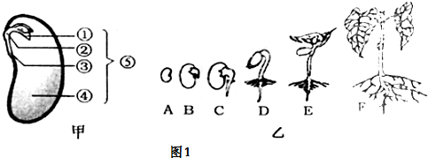 作业帮