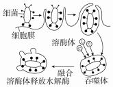 作业帮