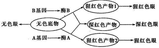 作业帮