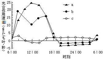 作业帮