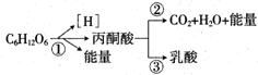 作业帮