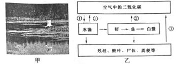 作业帮