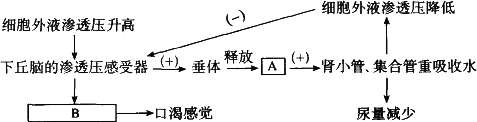 如图为水盐平衡调节机理示意图,请根据图回答下面的问题.