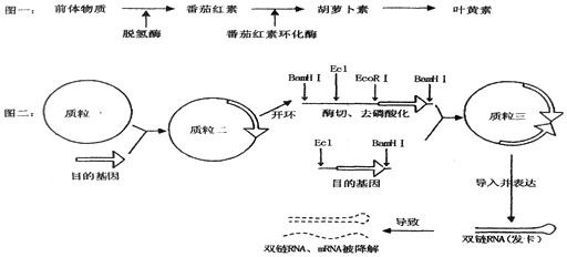 作业帮