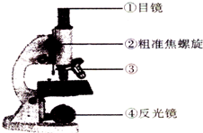 作业帮