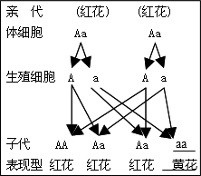 作业帮