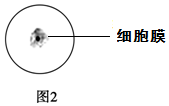 作业帮