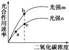 作业帮