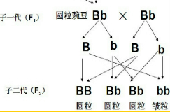 作业帮