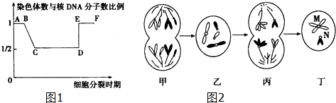 作业帮