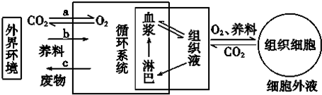 作业帮