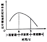 作业帮