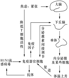 作业帮