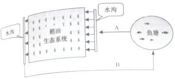 作业帮