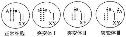 作业帮