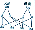 作业帮