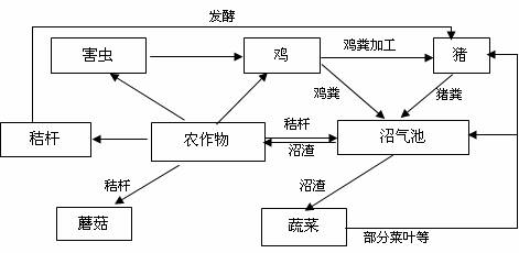 下图是某地区农业生态系统的模式图,请回答下列问题(1)调查该生态