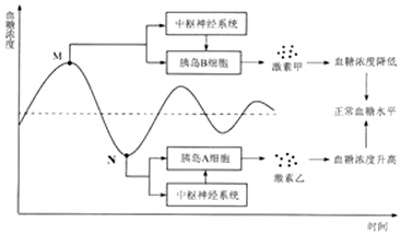 作业帮