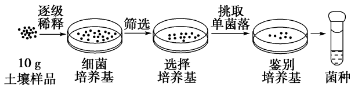 作业帮