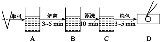 作业帮