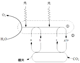 作业帮