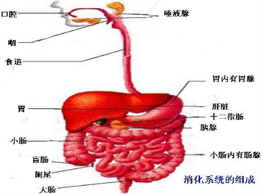 作业帮