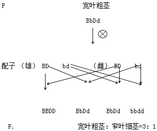 作业帮