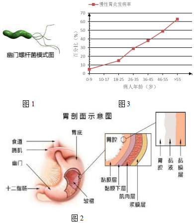 作业帮