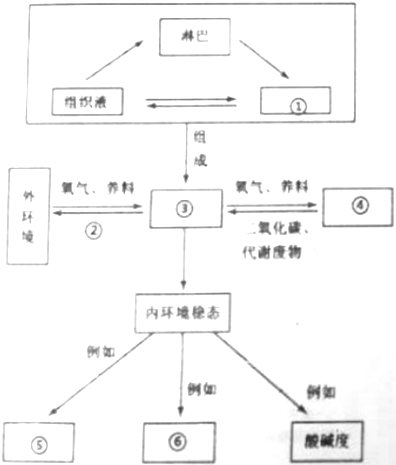 作业帮