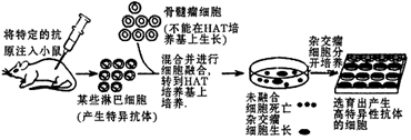 作业帮