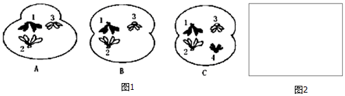 作业帮