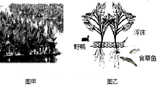 作业帮