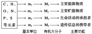 作业帮