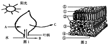 作业帮