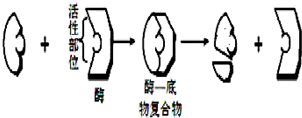 作业帮