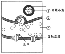 作业帮