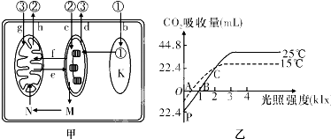 作业帮