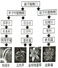 作业帮