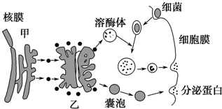 作业帮