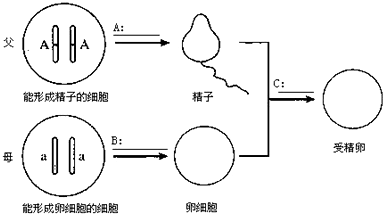 作业帮