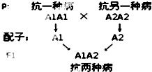 作业帮